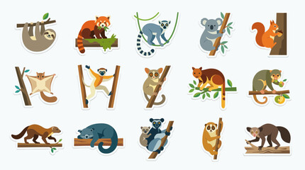 Fototapeta premium Flat Illustration Set of Cute Forest Animals: Sloth, Red Panda, Lemur, Koala, Squirrel, Possum