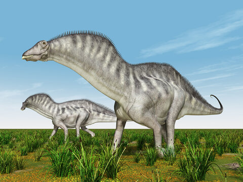 Dinosaurier Amargasaurus in einer Landschaft