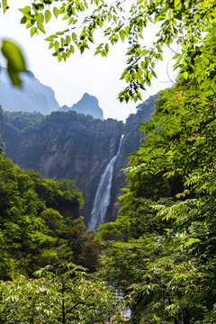 Scenic Waterfall in Lush Mountain Forest