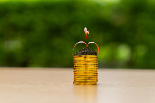Growing plant on stack of gold coins with green background.