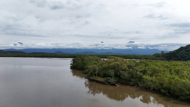Mangue - Antonina-PR

