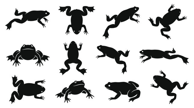 Set of black frog silhouettes in various jumping and sitting poses