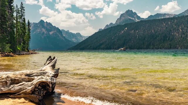 View of Redfish Lake with driftwood on the sandy shore and the Sawtooth Mountains in the background under a clear blue sky in Stanley, Idaho, United States.