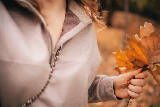 Woman holding autumn leaves in park &mdash; seasonal transition concept. Mindful living and aesthetic appreciation of nature. Female hands holding bright yellow foliage representing peaceful outdoor walk.