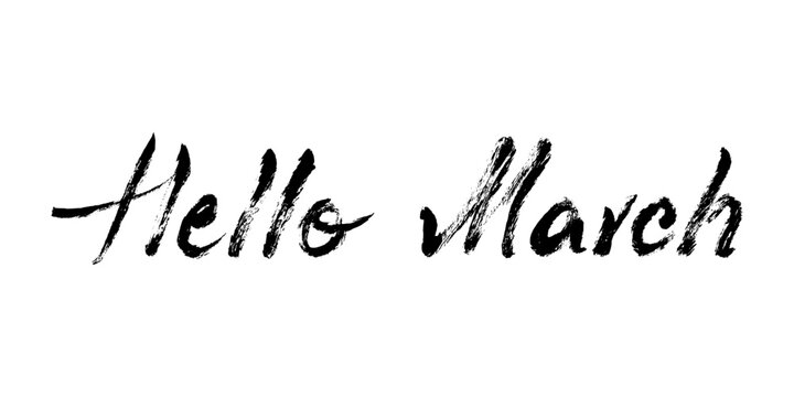 Grunge Hello March Month Handwritten Text Calligraphy. Spring month quote. Vector brush stroke hand drawn Hello March lettering on white background