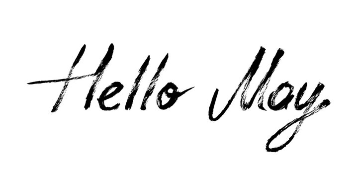 Hello May Grunge Month Handwritten Text Calligraphy. Spring month quote. Vector brush stroke hand drawn Hello May lettering on white background