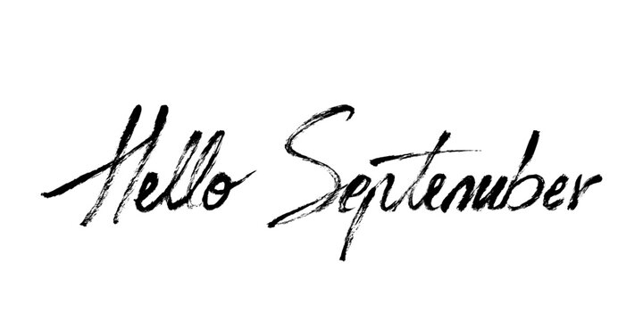 Grunge Hello September Month Handwritten Text Calligraphy. Fall month quote. Vector brush stroke hand drawn Hello September lettering on white background.