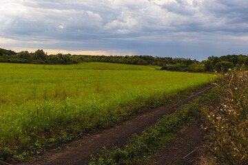 Obraz premium Lush green field with a dirt path winding through it under a cloudy sky, surrounded by trees and vegetation in a rural landscape