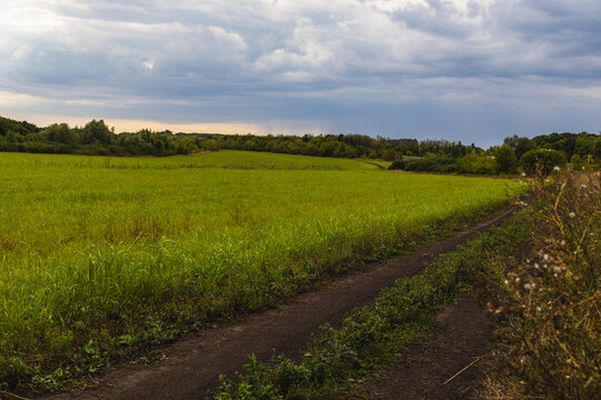 Lush green field with a dirt path winding through it under a cloudy sky, surrounded by trees and vegetation in a rural landscape