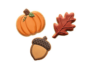 Autumn sugar cookies, iced pumpkin and acorn biscuits, fall leaf gingerbread treats © Vectrology