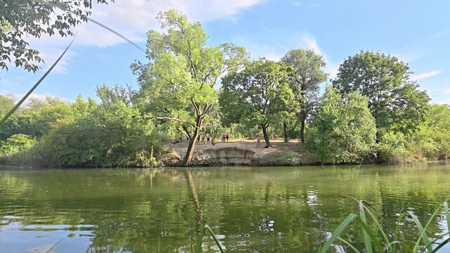 People enjoying a summer day at the lake in the park