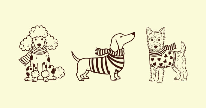 Poodle dachshund and terrier dogs wearing sweaters sketched vector illustration