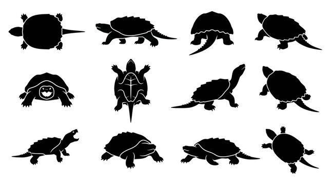 Collection of black turtle silhouettes displaying various poses and shell patterns on a white background