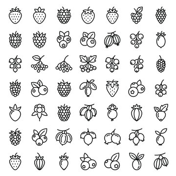 Assorted Berry Icons Set on Transparent Background