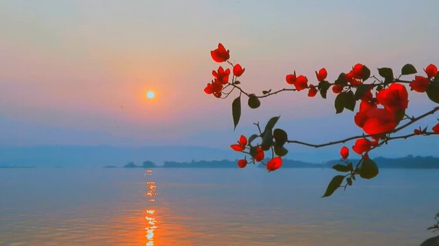 sunset on the lake