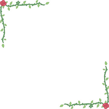 rose floral frame