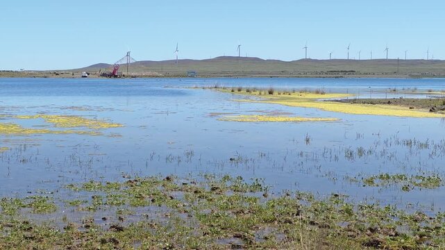 Scenic landscape of salt lake wetland and distant wind turbines in summer in Ulan Hada Volcano Geopark, Ulanqab, Inner Mongolia, China