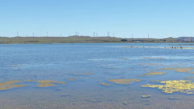 Scenic landscape of salt lake wetland and distant wind turbines in summer in Ulan Hada Volcano Geopark, Ulanqab, Inner Mongolia, China