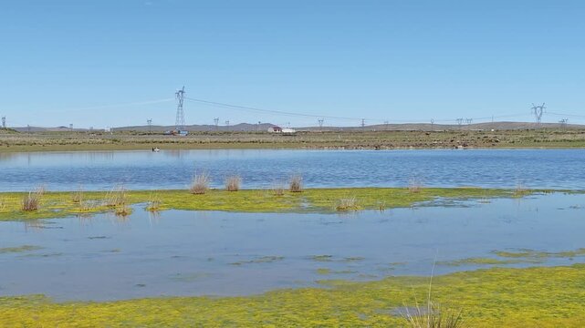 Scenic landscape of salt lake wetland and distant wind turbines in summer in Ulan Hada Volcano Geopark, Ulanqab, Inner Mongolia, China