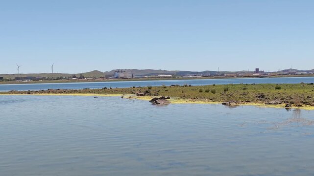 Scenic landscape of salt lake wetland and distant wind turbines in summer in Ulan Hada Volcano Geopark, Ulanqab, Inner Mongolia, China