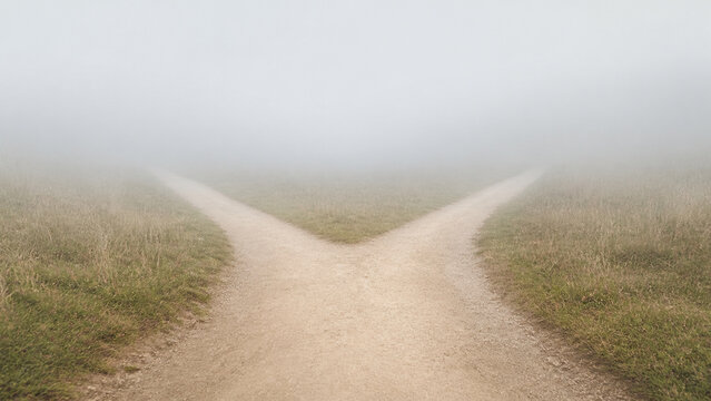 Photorealistic business concept showing a plain dirt path dividing into two equal branches that both disappear into low mist, no signage, soft flat daylight. Visual metaphor for growth and.