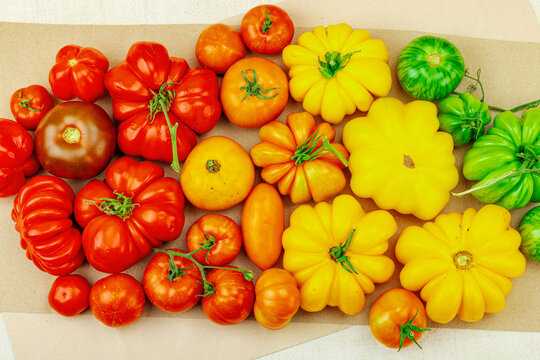 A vibrant flat lay of various homegrown heirloom tomatoes, including large ribbed, striped types