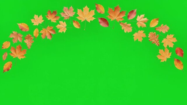 Autumn leaves arranged in three separate arch shapes isolated against a bright green screen background