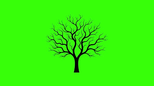 Bare Winter Tree Silhouette Swaying Seamless Loop Animation on Green Screen Representing Autumn Weather