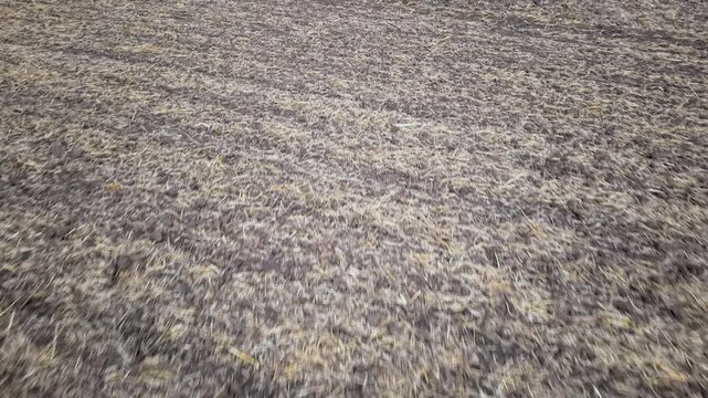 Low aerial video flies above harvested farmland, revealing dark stubble, soil texture and long field rows. Rural landscape opens toward horizon beneath clouds, showing agriculture after harvest