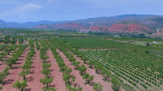 Aerial drone view of vineyards and crops near the village of Herce in the Arnedo region. Eastern Rioja or Lower Rioja. Autonomous Community of La Rioja. Spain. Europe