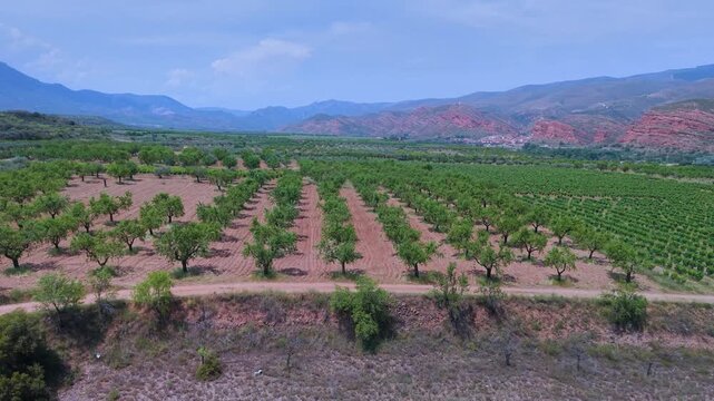 Aerial drone view of vineyards and crops near the village of Herce in the Arnedo region. Eastern Rioja or Lower Rioja. Autonomous Community of La Rioja. Spain. Europe