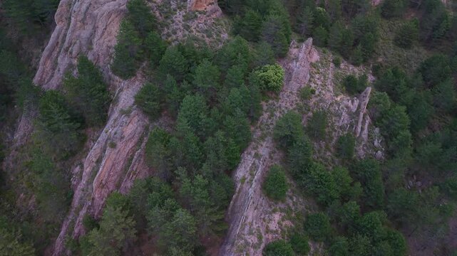 Aerial drone view of the pine forests and crags in Muro de Aguas, in the Arnedo region. Eastern Rioja or Lower Rioja. Autonomous Community of La Rioja. Spain. Europe