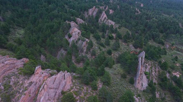 Aerial drone view of the pine forests and crags in Muro de Aguas, in the Arnedo region. Eastern Rioja or Lower Rioja. Autonomous Community of La Rioja. Spain. Europe
