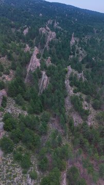 Aerial drone view of the pine forests and crags in Muro de Aguas, in the Arnedo region. Eastern Rioja or Lower Rioja. Autonomous Community of La Rioja. Spain. Europe