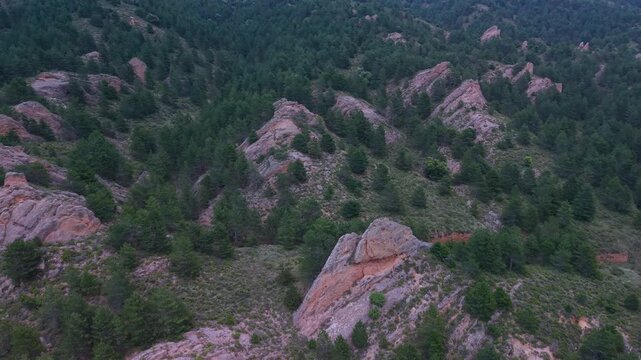 Aerial drone view of the pine forests and crags in Muro de Aguas, in the Arnedo region. Eastern Rioja or Lower Rioja. Autonomous Community of La Rioja. Spain. Europe