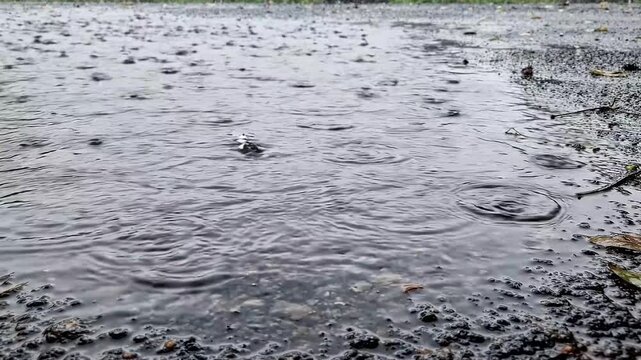 Heavy rain falling on asphalt surface creating ripples and splashes in a large water puddle with raindrops falling onto video heavy precipitation environment atmospheric