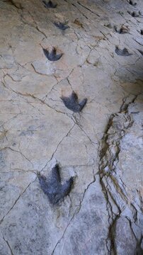 Dinosaur footprints (ichnites) at the Los Cayos site in Cornago, Cervera region, Eastern Rioja or Lower Rioja, Autonomous Community of La Rioja, Spain, Europe