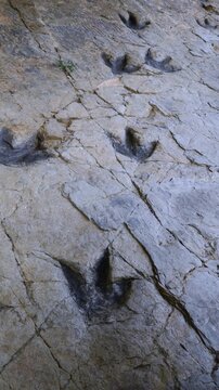 Dinosaur footprints (ichnites) at the Los Cayos site in Cornago, Cervera region, Eastern Rioja or Lower Rioja, Autonomous Community of La Rioja, Spain, Europe