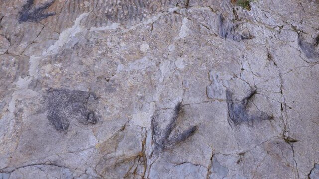 Dinosaur footprints (ichnites) at the Los Cayos site in Cornago, Cervera region, Eastern Rioja or Lower Rioja, Autonomous Community of La Rioja, Spain, Europe