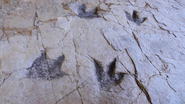 Dinosaur footprints (ichnites) at the Los Cayos site in Cornago, Cervera region, Eastern Rioja or Lower Rioja, Autonomous Community of La Rioja, Spain, Europe