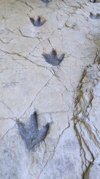 Dinosaur footprints (ichnites) at the Los Cayos site in Cornago, Cervera region, Eastern Rioja or Lower Rioja, Autonomous Community of La Rioja, Spain, Europe