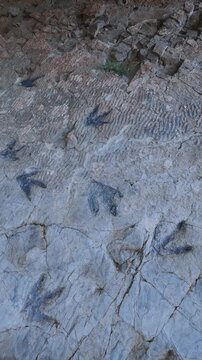 Dinosaur footprints (ichnites) at the Los Cayos site in Cornago, Cervera region, Eastern Rioja or Lower Rioja, Autonomous Community of La Rioja, Spain, Europe