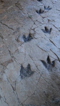 Dinosaur footprints (ichnites) at the Los Cayos site in Cornago, Cervera region, Eastern Rioja or Lower Rioja, Autonomous Community of La Rioja, Spain, Europe