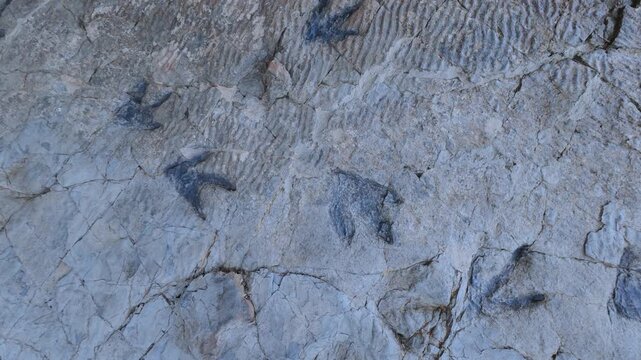 Dinosaur footprints (ichnites) at the Los Cayos site in Cornago, Cervera region, Eastern Rioja or Lower Rioja, Autonomous Community of La Rioja, Spain, Europe