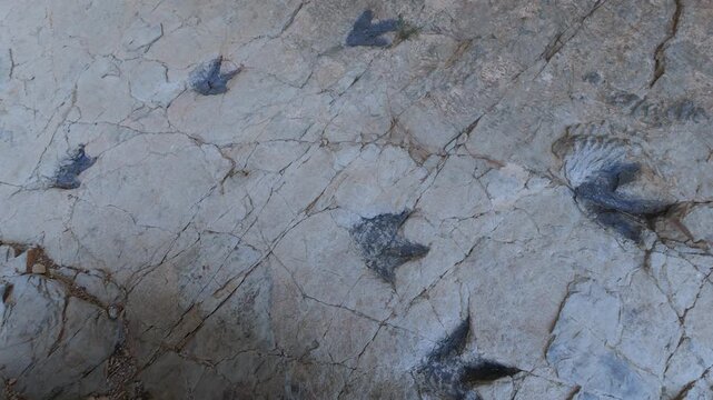 Dinosaur footprints (ichnites) at the Los Cayos site in Cornago, Cervera region, Eastern Rioja or Lower Rioja, Autonomous Community of La Rioja, Spain, Europe
