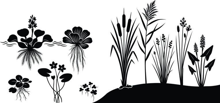 Set of black silhouettes of swamp plants and water weeds