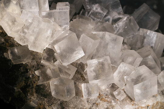 w&uuml;rfelf&ouml;rmige Kristalle des Minerals Halit in einer Mineraliensammlung