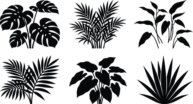 Set of black tropical plant silhouettes on white