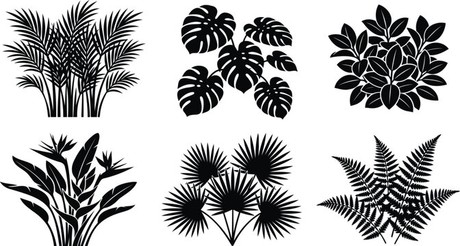 Set of black tropical plant silhouettes and exotic leaves