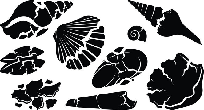 Set of broken seashell silhouettes collection
